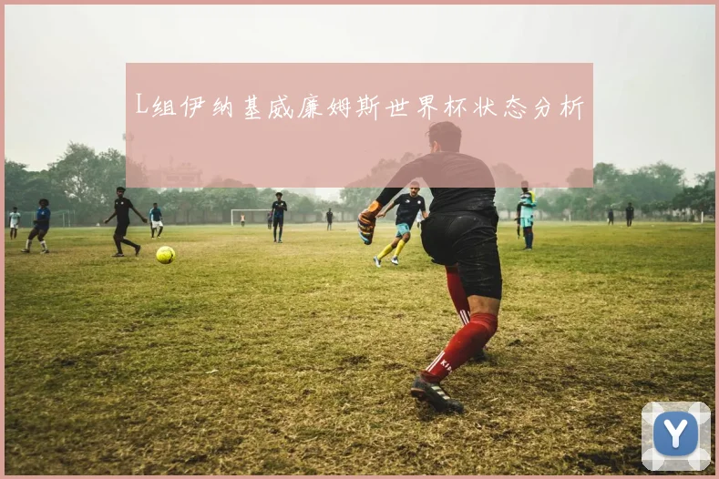 L组伊纳基威廉姆斯世界杯状态分析