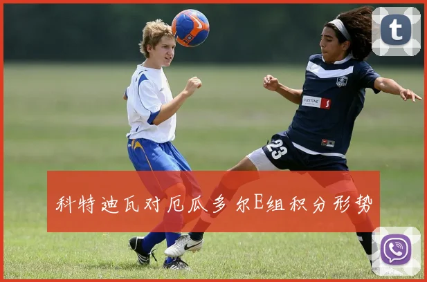 科特迪瓦对厄瓜多尔E组积分形势